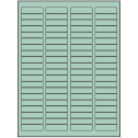 1.75" x 0.5" Pastel Green Rectangular Sheet Labels (80-UP)