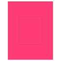 4.25" x 5.25" Fluorescent Pink Rectangular Sheet Labels