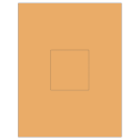 3.1494" x 3.3072" Pastel Orange Rectangular Sheet Labels