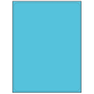 8.25" x 10.75"  Sheet Label