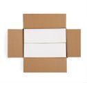 4" x 12" Green - Thermal Transfer Labels - Fanfold - Removable Adhesive