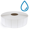 3" x 2" Polypropylene - Thermal Transfer Labels - 3" Core / 12" Outer Diameter (No Perf) - Freezer Grade Adhesive