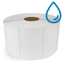 6" x 4" Polypropylene - Direct Thermal Labels - 3" Core / 12" Outer Diameter (No Perf) - Removable Adhesive