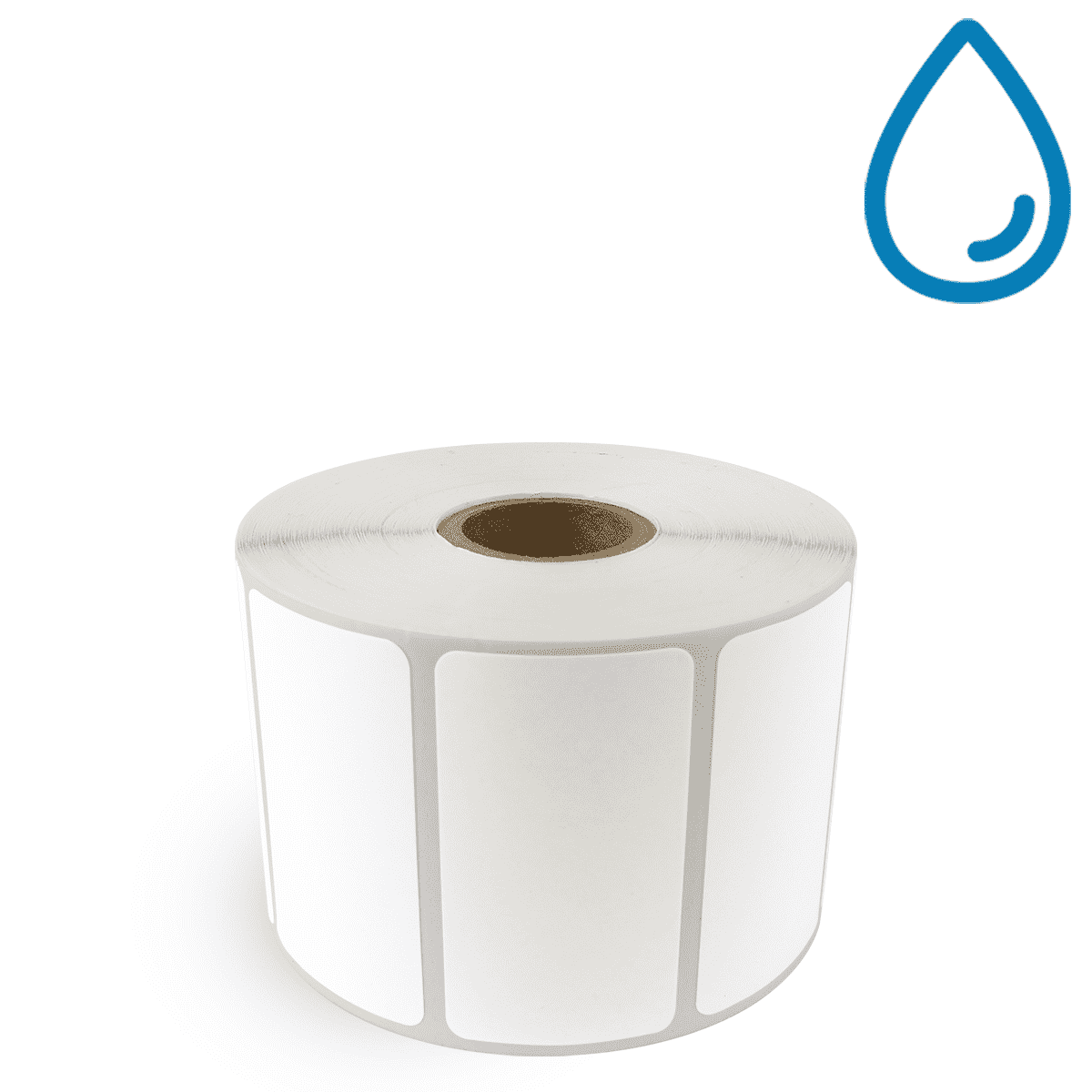 2.25" x 1.25" Polypropylene - Thermal Transfer Labels - 1" Core - Removable Adhesive