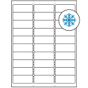 2.625" x 1" White Rectangular Sheet Labels - Freezer Grade Adhesive