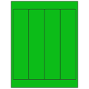 2" x 9" Fluorescent Green Rectangular Sheet Labels