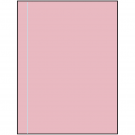 8.5" x 11"  Sheet Label