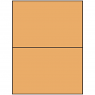 8.5" x 5.5"  Sheet Label