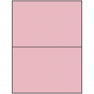 8.5" x 5.5"  Sheet Label