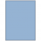 8.25" x 10.75"  Sheet Label