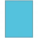 8.25" x 10.75"  Sheet Label