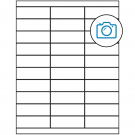 2.83" x 1"  Sheet Label