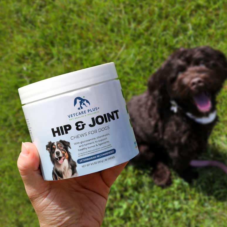 a hand holds a container of dog joint health chews above a dog in a field of grass