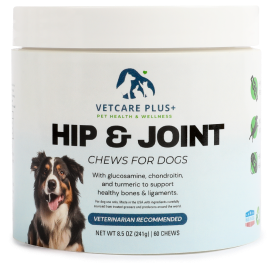 labeled container of dog joint health chews