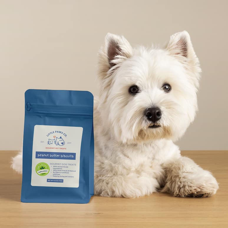 a dog sits on the floor behind a packet of dog treats