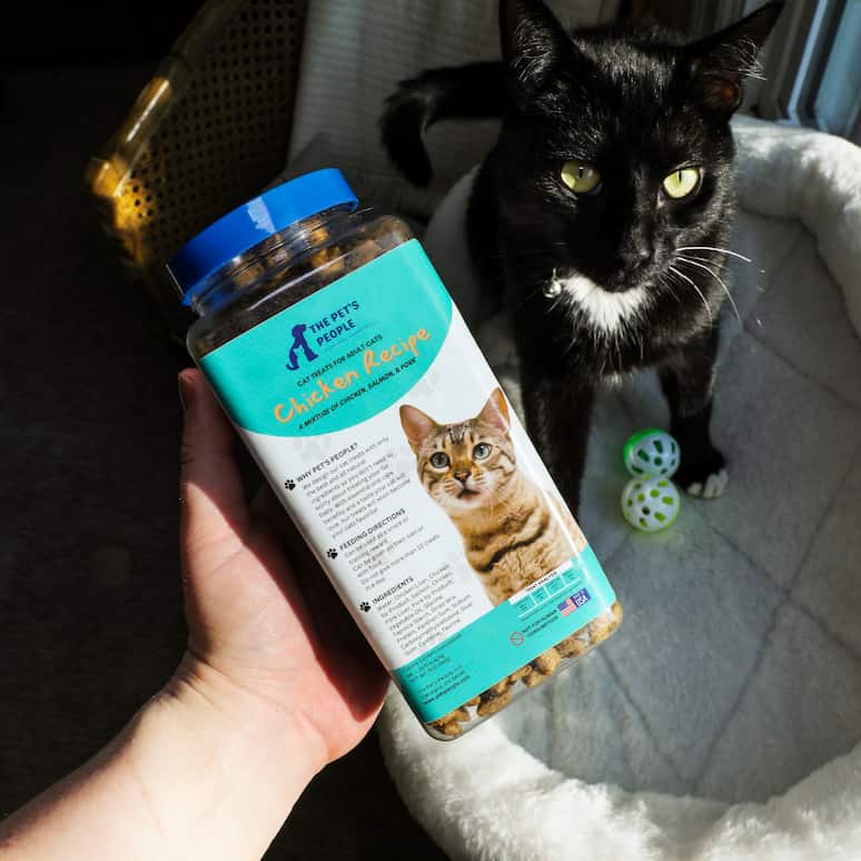 a hand holds a container of cat treats above a cat sitting in a cat bed
