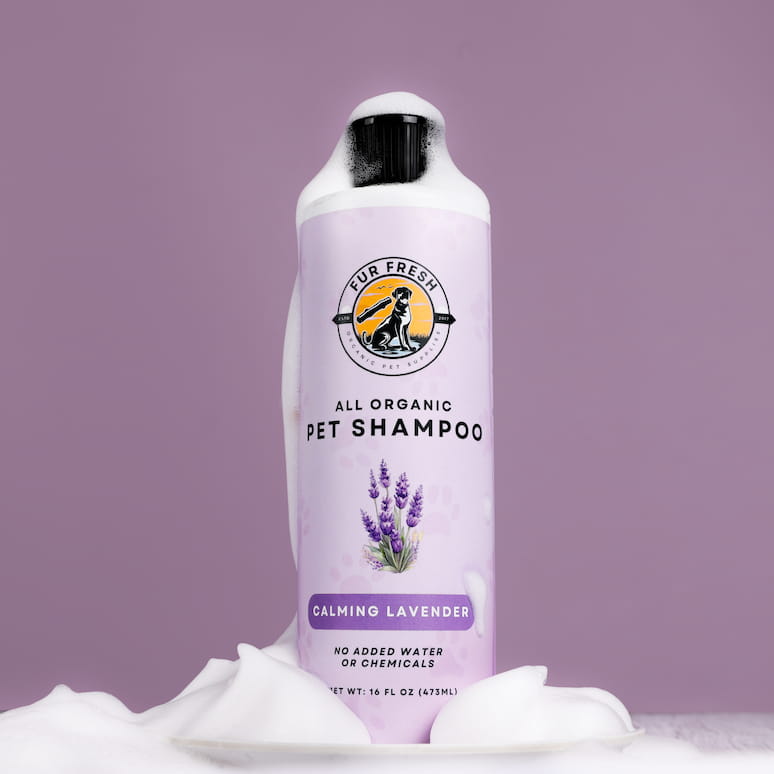 a bottle of shampoo covered in suds