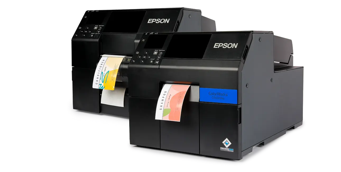 2 epson printers